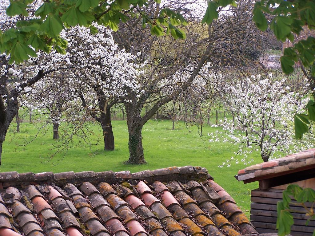 Pommiers  Clos De Pomeir 게스트하우스 외부 사진